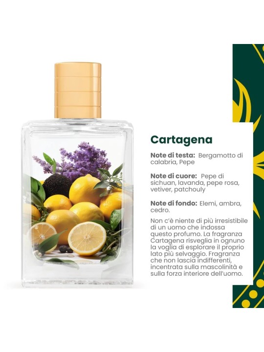 Varriale Cartagena Eau De Parfum [category] DB Cosmetica