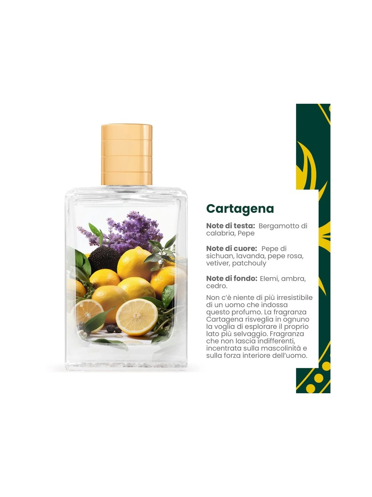 Varriale Cartagena Eau De Parfum [category] DB Cosmetica