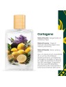 Varriale Cartagena Eau De Parfum [category] DB Cosmetica