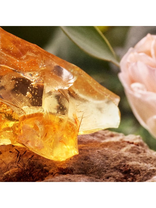 Chloé Chloé Eau De Parfum [category] DB Cosmetica